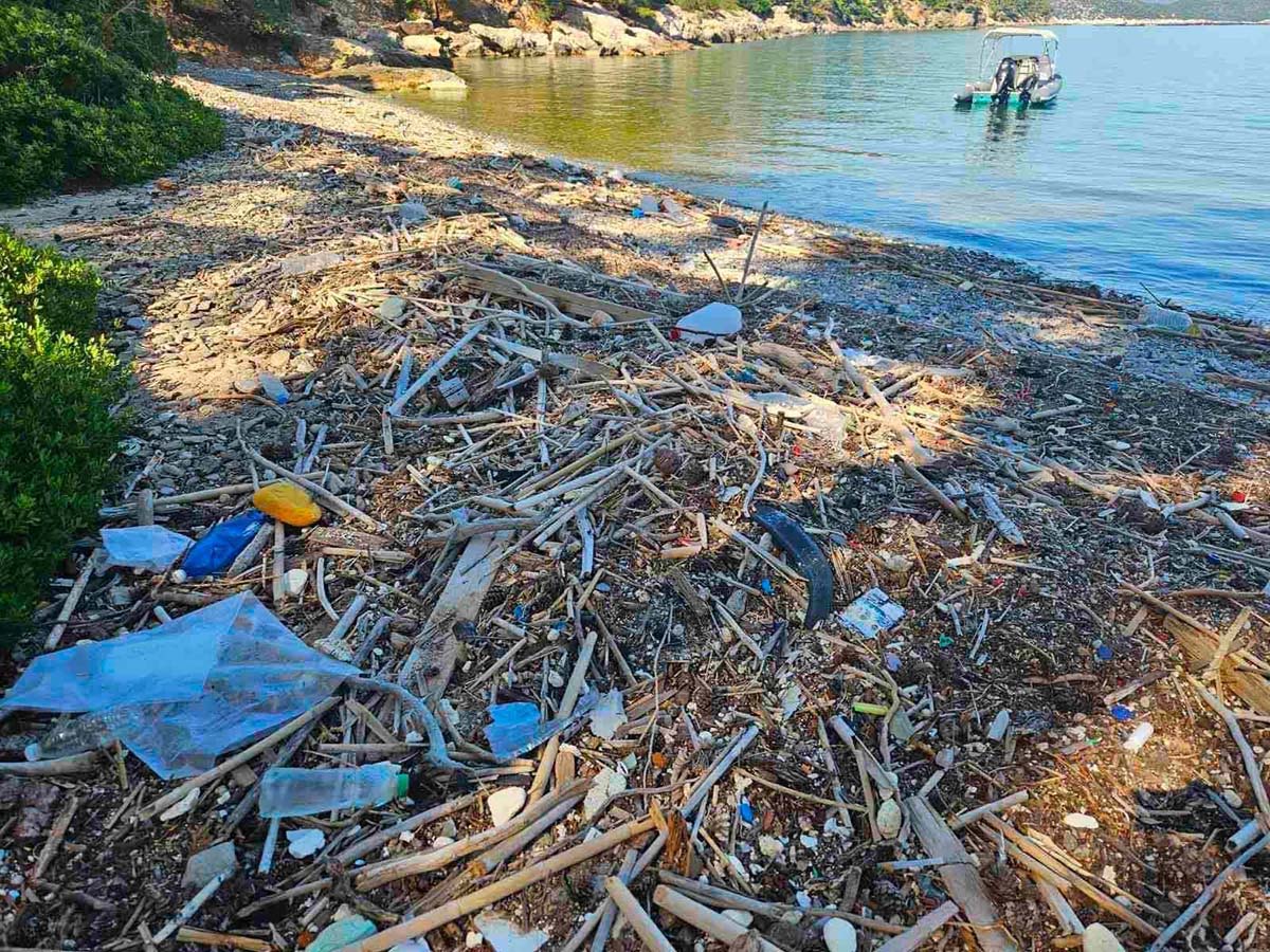 ΔΡΑΣΗ ΠΑΡΑΚΤΙΟΥ ΚΑΘΑΡΙΣΜΟΥ ΤΗΣ ΠΕΡΙΒΑΛΛΟΝΤΙΚΗΣ ΟΡΓΑΝΩΣΗΣ ISEA