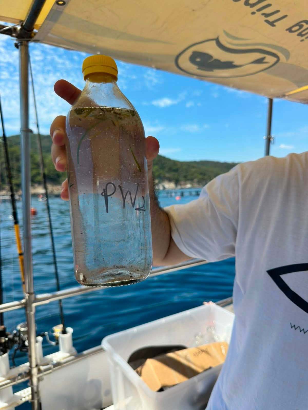 ΔΡΑΣΗ ΠΑΡΑΚΤΙΟΥ ΚΑΘΑΡΙΣΜΟΥ ΤΗΣ ΠΕΡΙΒΑΛΛΟΝΤΙΚΗΣ ΟΡΓΑΝΩΣΗΣ ISEA