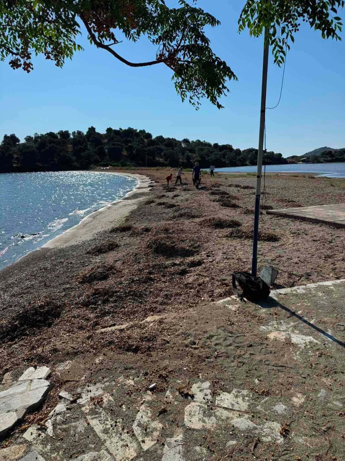 ΔΡΑΣΗ ΠΑΡΑΚΤΙΟΥ ΚΑΘΑΡΙΣΜΟΥ ΤΗΣ ΠΕΡΙΒΑΛΛΟΝΤΙΚΗΣ ΟΡΓΑΝΩΣΗΣ ISEA