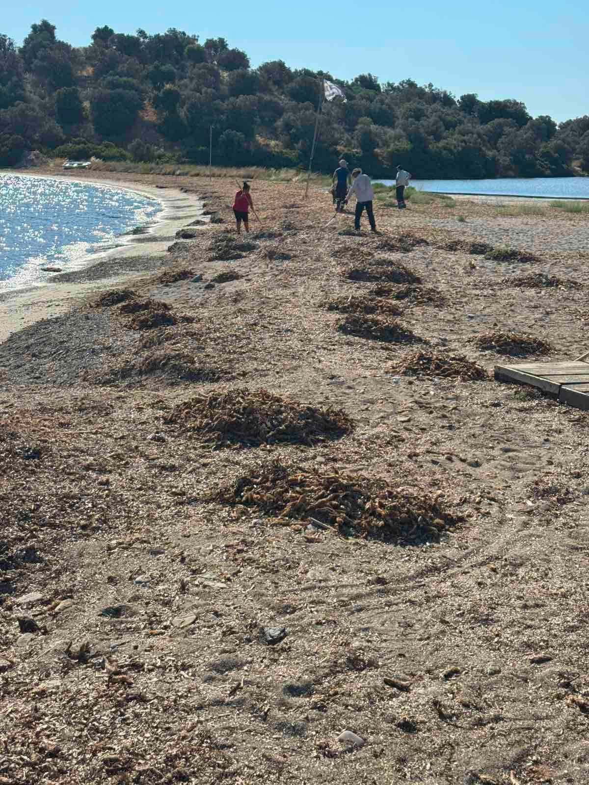 ΔΡΑΣΗ ΠΑΡΑΚΤΙΟΥ ΚΑΘΑΡΙΣΜΟΥ ΤΗΣ ΠΕΡΙΒΑΛΛΟΝΤΙΚΗΣ ΟΡΓΑΝΩΣΗΣ ISEA